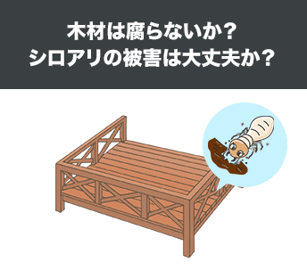 木材は腐らないか？シロアリの被害は大丈夫か？